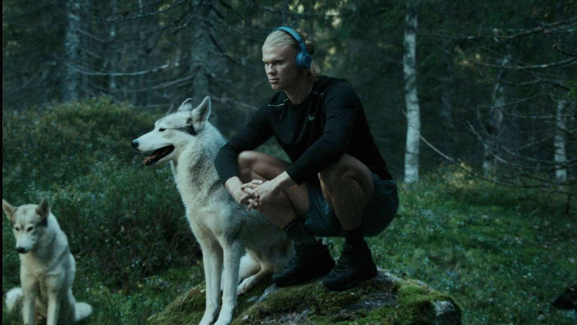 拦截成功率 拦截成功率